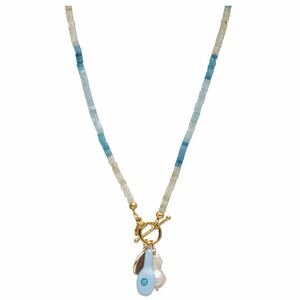 Multi Stone Beaded Charm Necklace